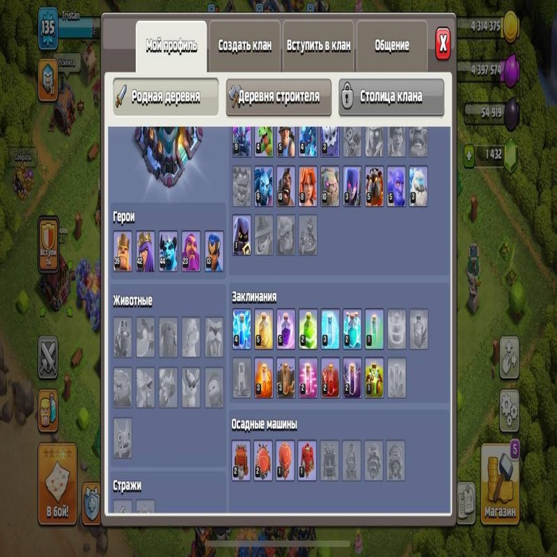 🏰 Clash of Clans акаунт | Ратуша 13 рівень | Рівень - 80%