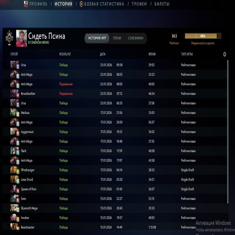 🏅 MMR 863 | 🕒 234 hours | 🛡 5700