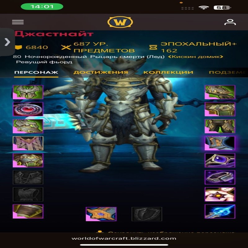 🎮 WoW акаунт | 80 рівень | Орда | Howling Fjord