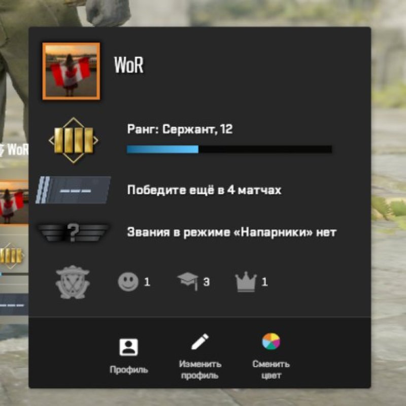 🔥 CS Прима | 🎯 Faceit LVL 3 | 🕒 100 часов — Готов к Соревновательным Матчам