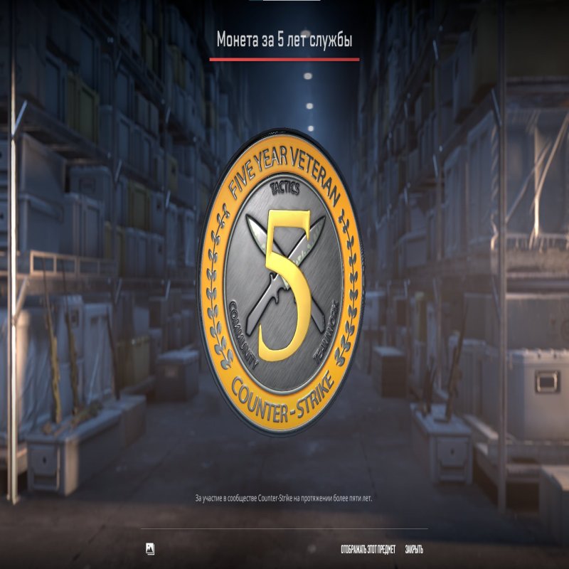 🏆 Rank 9 CS2 | 💎 Profile Level 11 | 🕒 29 hours — Ready for high-level competition!