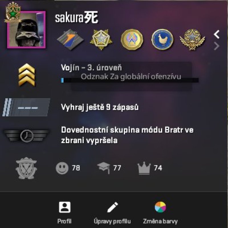 🏆 Faceit LVL 10 | 🎯 2570 ELO | 🕒 746 годин — Готовий до змагальних матчів