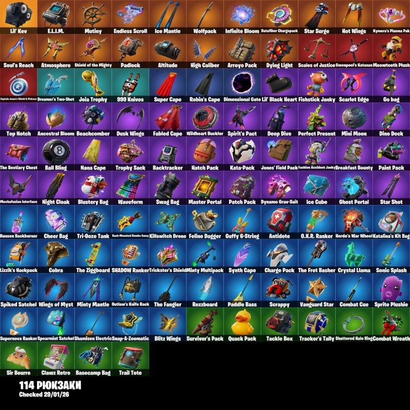 🎨 100 skins | 🌟 Fortnite account