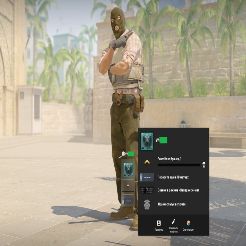 🏆 Faceit LVL 7 | 📈 1364 ELO | 🕒 6 hours — Ready for Competition!