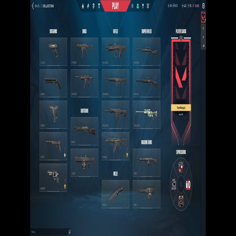 🎯 Valorant account | Rank: Gold 1 | Server: EU | 20 agents