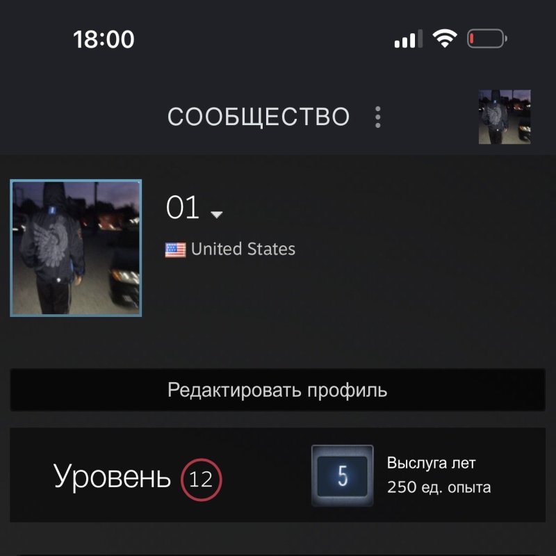 🔥 CS Prime | 🎯 Faceit LVL 5 | 🕒 250 hours - Ready for Competitions