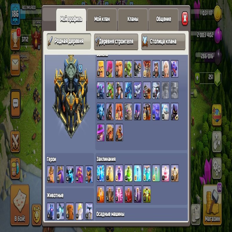 🏰 Clash of Clans акаунт | 17 ратуша | Рівень 0