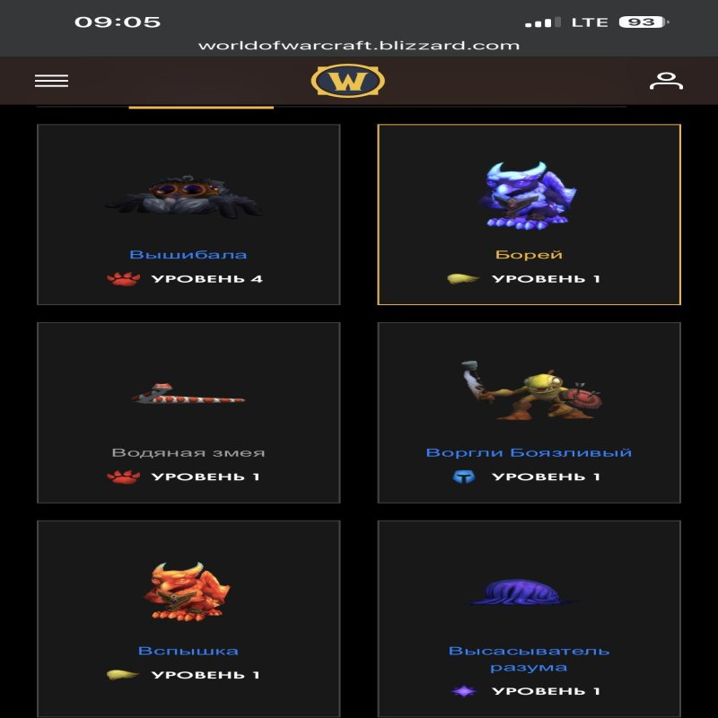 🎮 WoW account | Level 80 | Horde | Howling Fjord