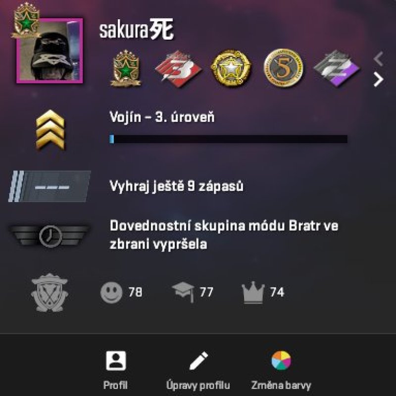 🏆 Faceit LVL 10 | 🎯 2570 ELO | 🕒 746 годин — Готовий до змагальних матчів