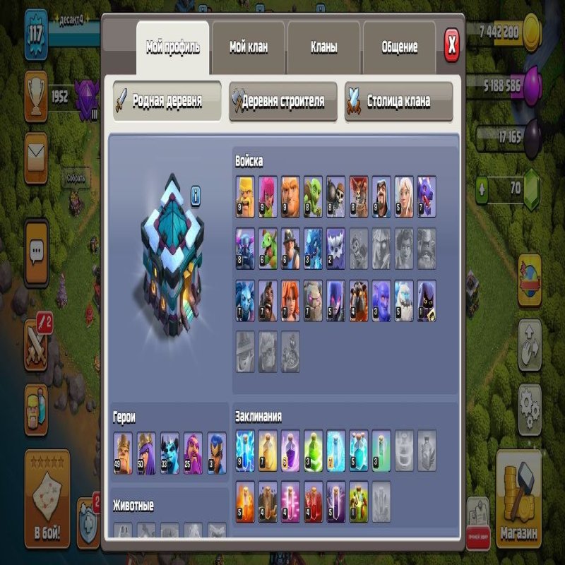 🏰 Clash of Clans account | Town Hall 13 | Level 12