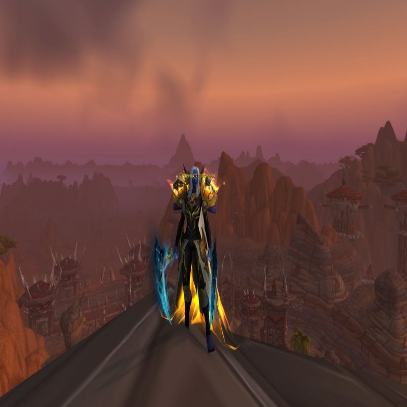 🎮 WoW account | Level 80 | Horde | Howling Fjord