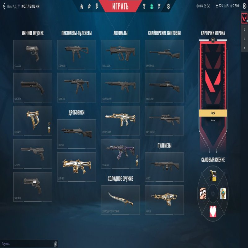 🎯 Valorant account | Ranked unlocked | EU | 8 agents