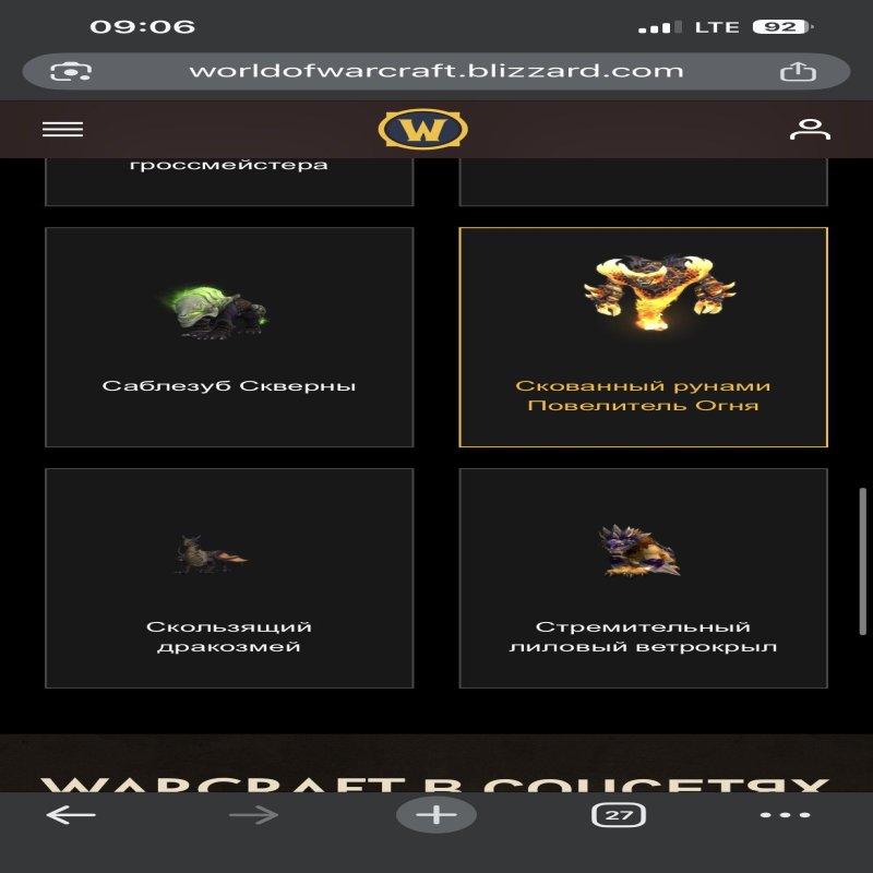 🎮 WoW account | Level 80 | Horde | Howling Fjord