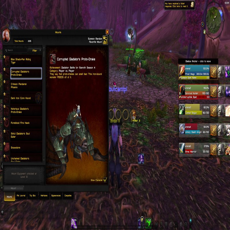 🎮 WoW account | Level 80 | Alliance | Any