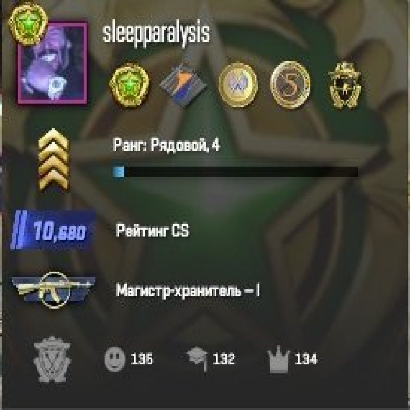 🏆 CS Prime | 🎯 Faceit LVL 10 | 🕒 877 годин — Готовий до змагальних матчів