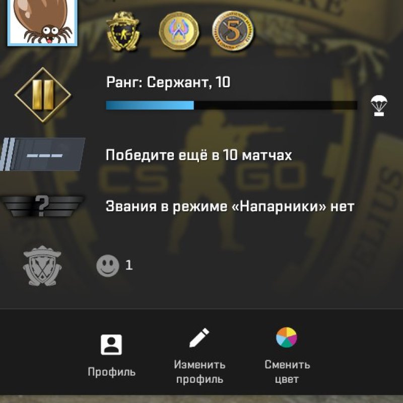 🔝 CS Prime | Rank 10 | 🎮 35 hours — Ready for Competitive Play