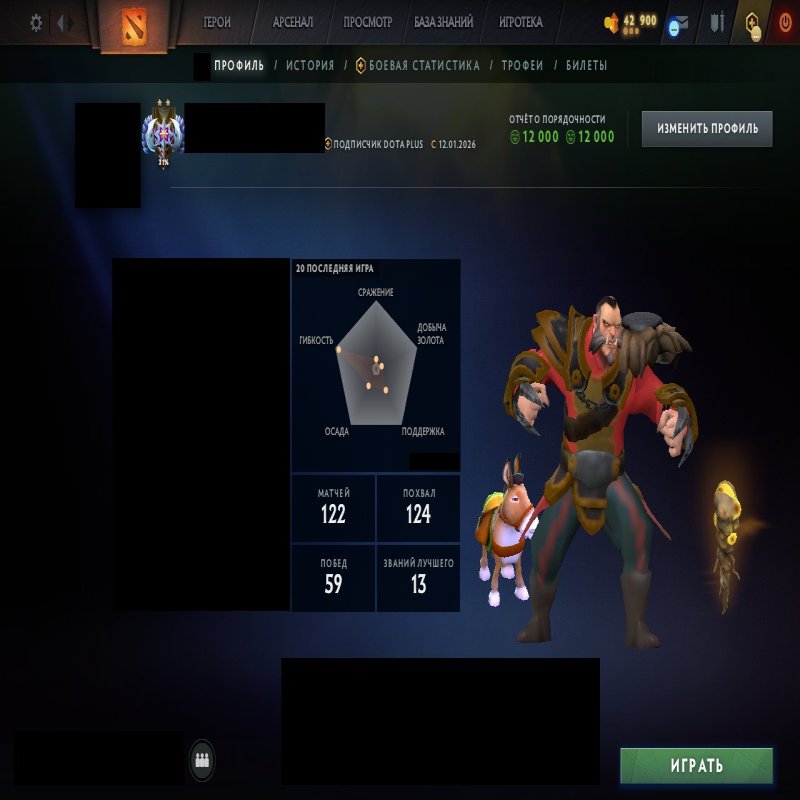 🏅 MMR 4052 | 🕒 216 часов | 🛡 12000