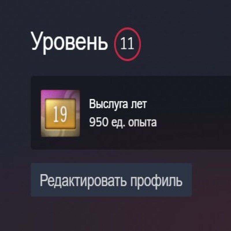 🏆 Rank 9 CS2 | 💎 Profile Level 11 | 🕒 29 hours — Ready for high-level competition!