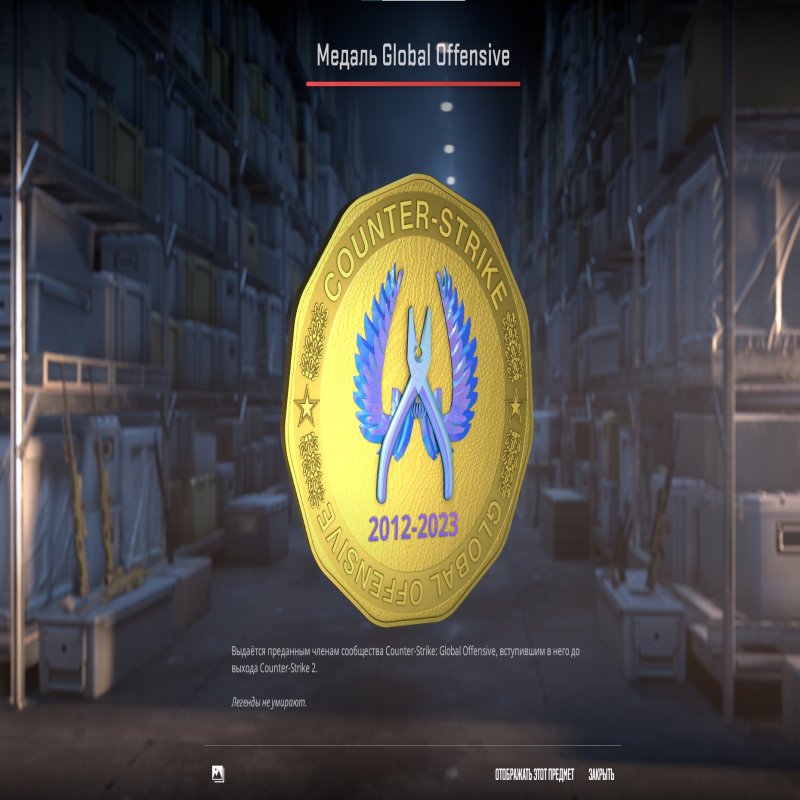 🏆 Rank 9 CS2 | 💎 Profile Level 11 | 🕒 29 hours — Ready for high-level competition!