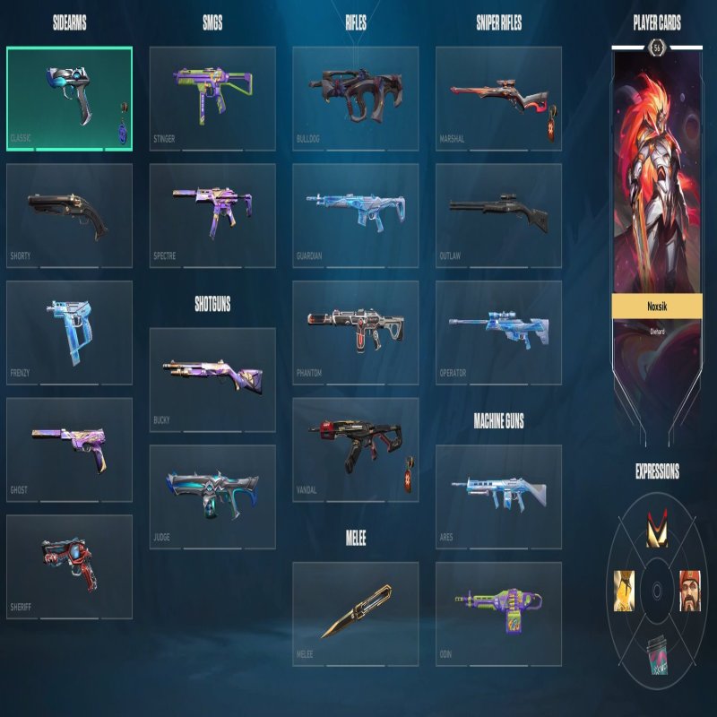 🎯 Valorant account | Platinum 1 | TR | 17 agents