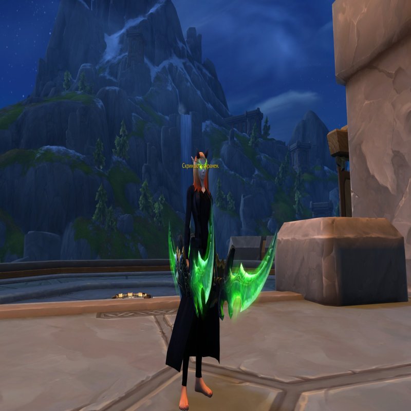 🎮 WoW account | Level 80 | Horde | Howling Fjord