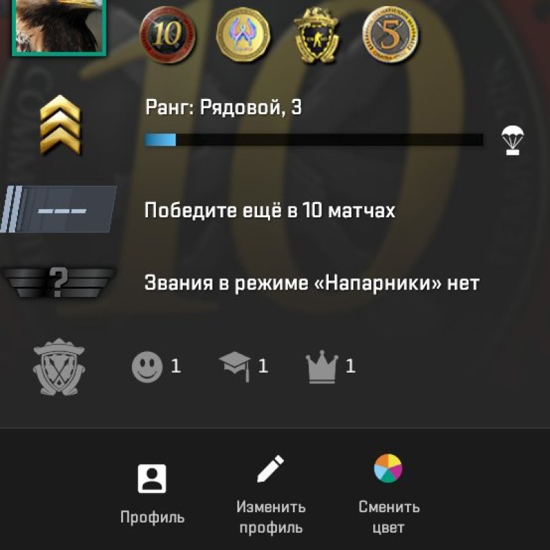 🏆 CS Prime | 🎯 Faceit LVL 3 | 🕒 13 hours — Ready for Matches!