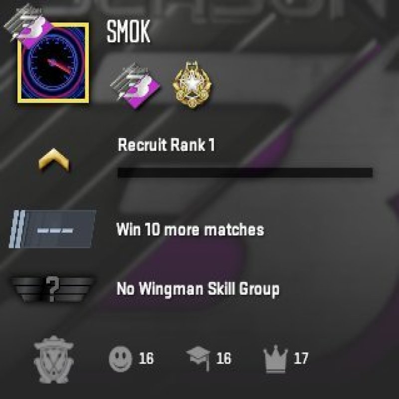 💎 PRIME | 🎯 FACEIT LVL 10 | 🕒 460 матчей — Готов к рейтинговым играм