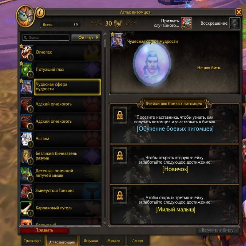 🎮 WoW акаунт | 80 рівень | Альянс | Якущий фьелд