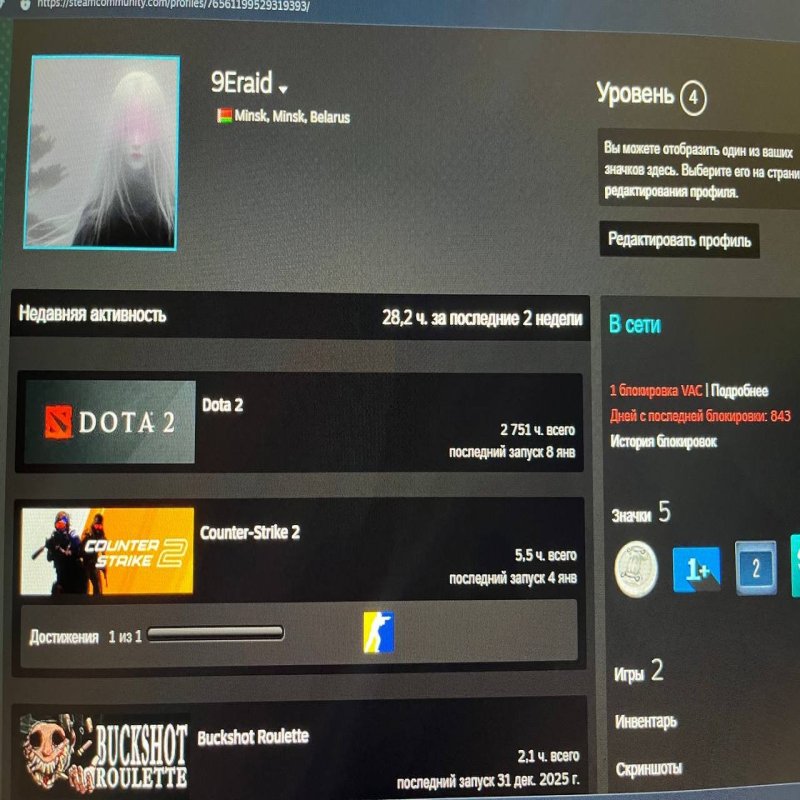 🏅 MMR 4183 | 🕒 2751 часов | 🛡 8063