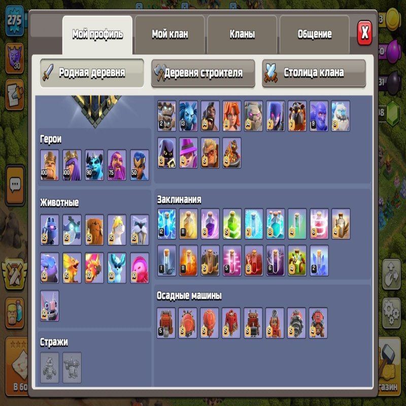 🏰 Clash of Clans акаунт | Ратуша 17 рівня | Рівень 270