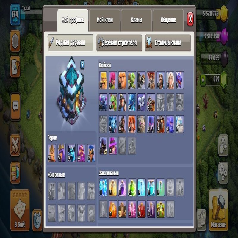 🏰 Clash of Clans акаунт | Ратуша 11 ратуша | Рівень 48/49/42/20/9