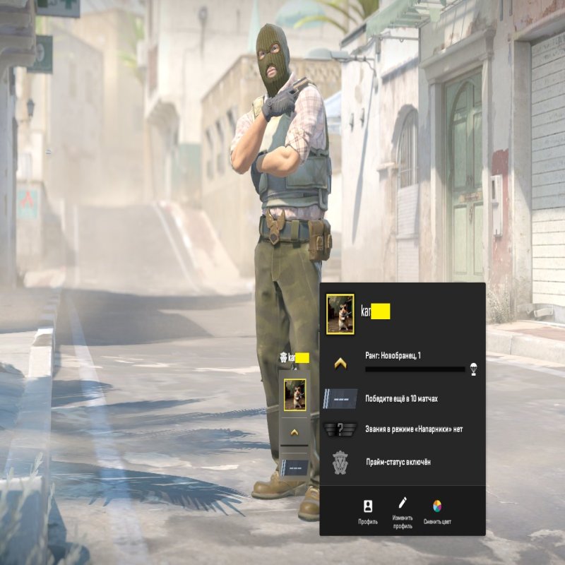 🎯 FACEIT LVL 5 | 🔥 1060 ELO | 🕒 3 години — Готовий до змагальних матчів