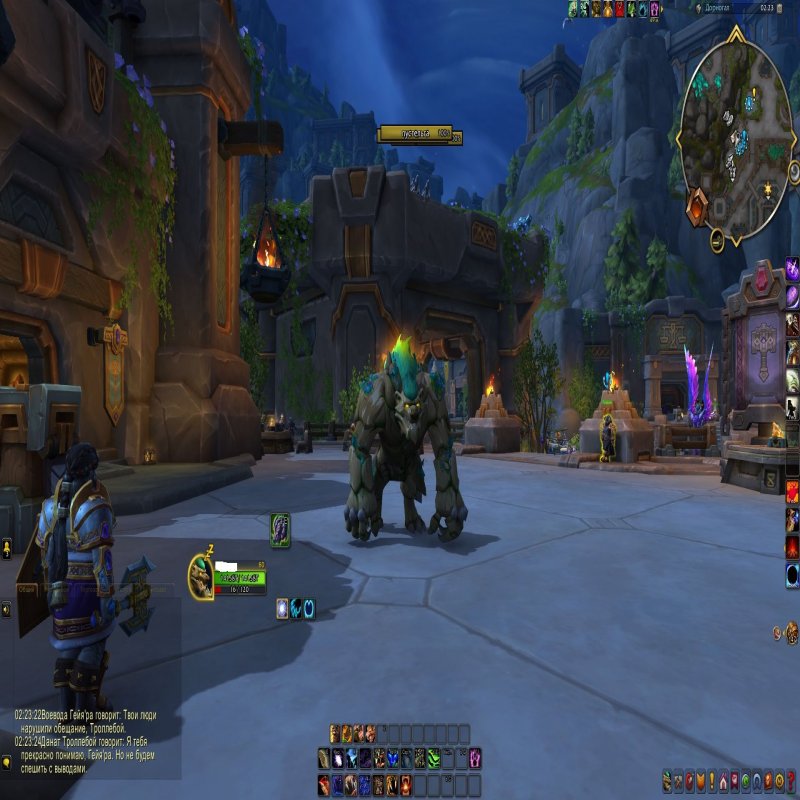 🎮 WoW акаунт | 80 рівень | Фракція Будь-яка | Сервер Ревучий Фіорд