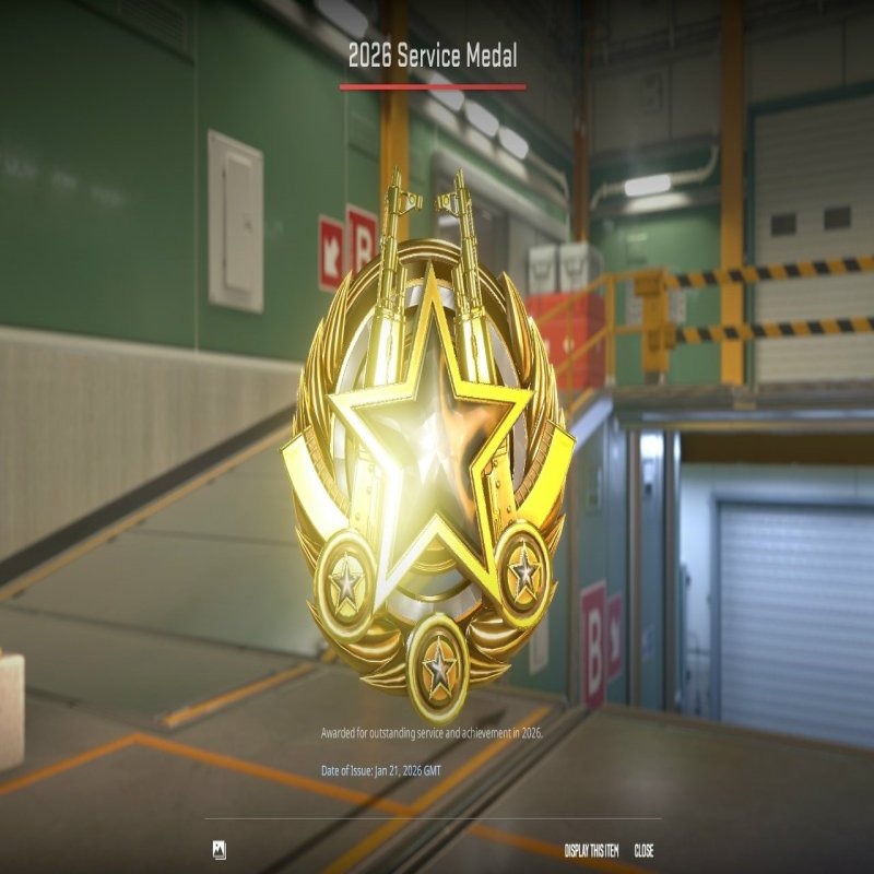 🏆 GOLD MEDAL | 🎯 FACEIT LVL 3 | 🕒 300 часов — Готов к соревновательным матчам