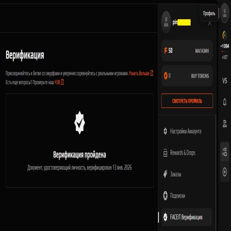 🌟 5 LVL Faceit | 🎯 1094 ELO | 🕒 11 hours — Ready for Competitions!