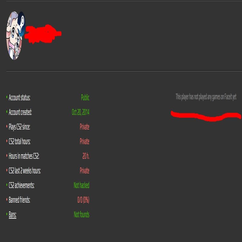 🔥 CS2 PRIME | 🎯 Faceit LVL 5 | 🕒 22 hours — Ready for Ranked Matches