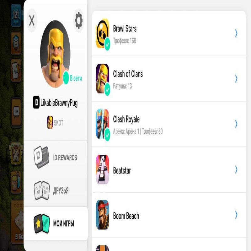 🏰 Clash of Clans account | Town Hall 13 | Level 50% Full 12