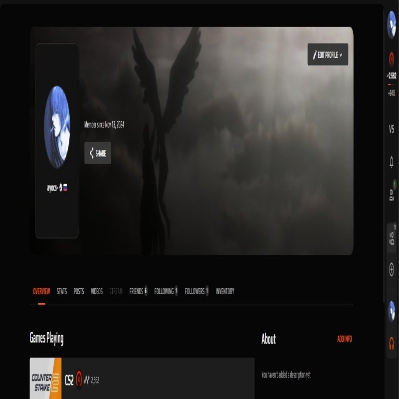🏆 Faceit LVL 10 | 🎯 2562 ELO | 🕒 1668 hours — Ready for Competitive Play