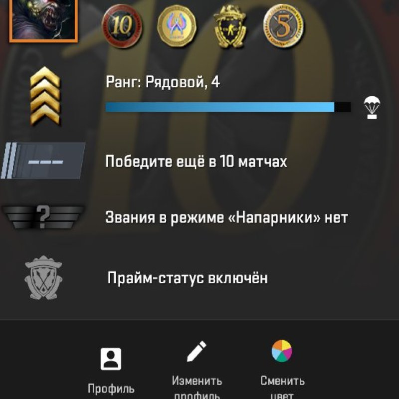 🔥 CS2 Prime | 🎯 Ранг 4 | 🕒 29 годин — Готовий до матчів