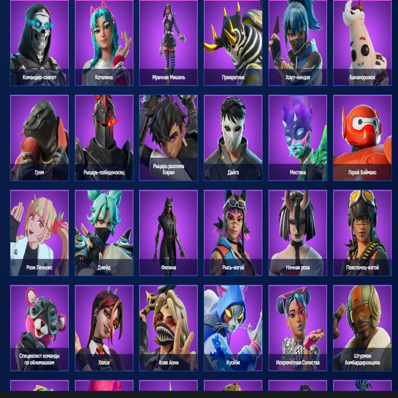 🎨 100 skins | 🌟 Fortnite account