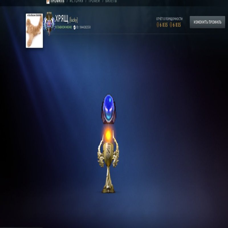 🏅 MMR 4028 | 🕒 1331 годин | 🛡 6835