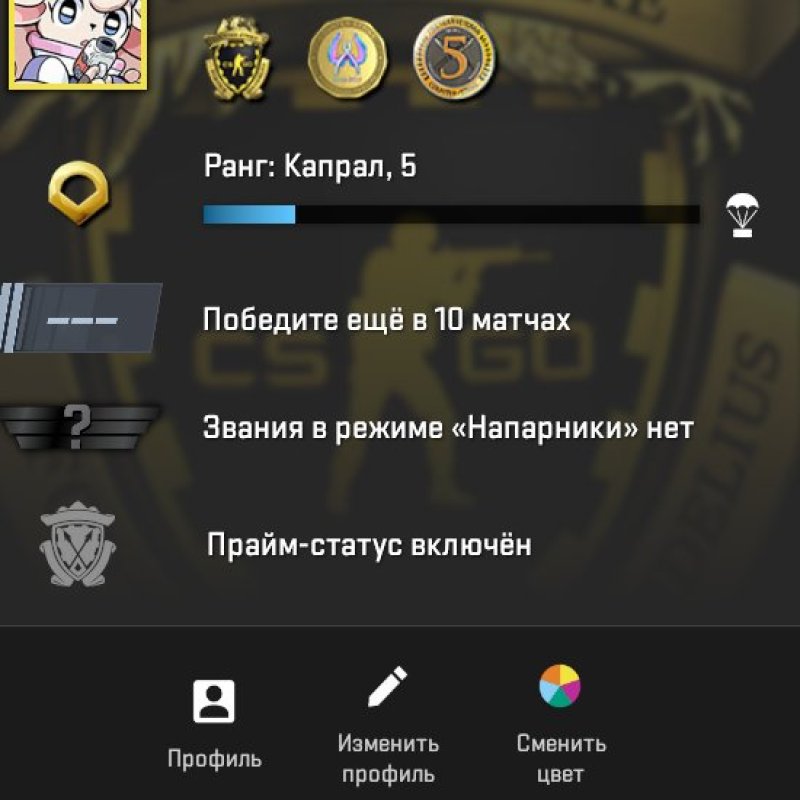 🔥 CS2 PRIME | 🎯 Faceit LVL 5 | 🕒 22 hours — Ready for Ranked Matches