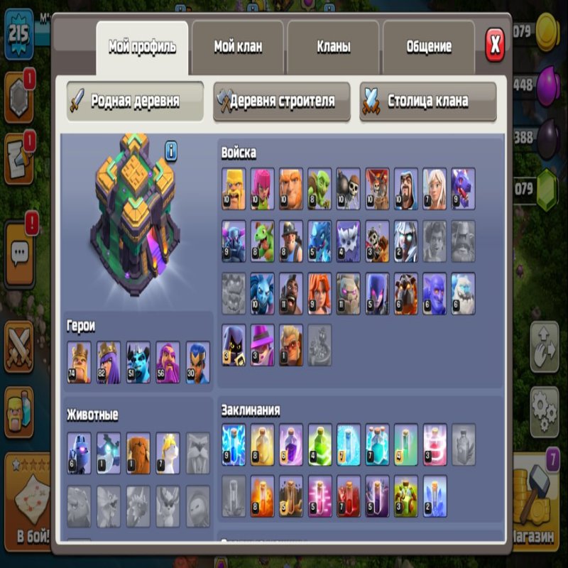 🏰 Clash of Clans акаунт | 14 ратуша | Рівень 200