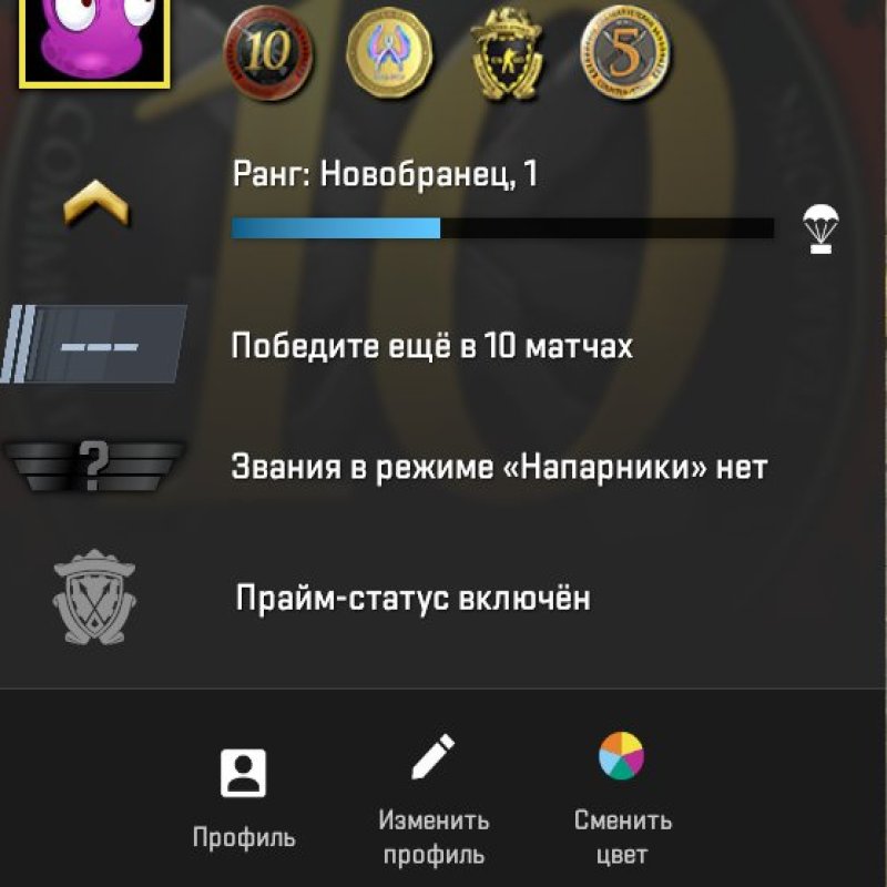 👑 CS2 Преміум | 🏅 103 години | 🥇 4 медалі