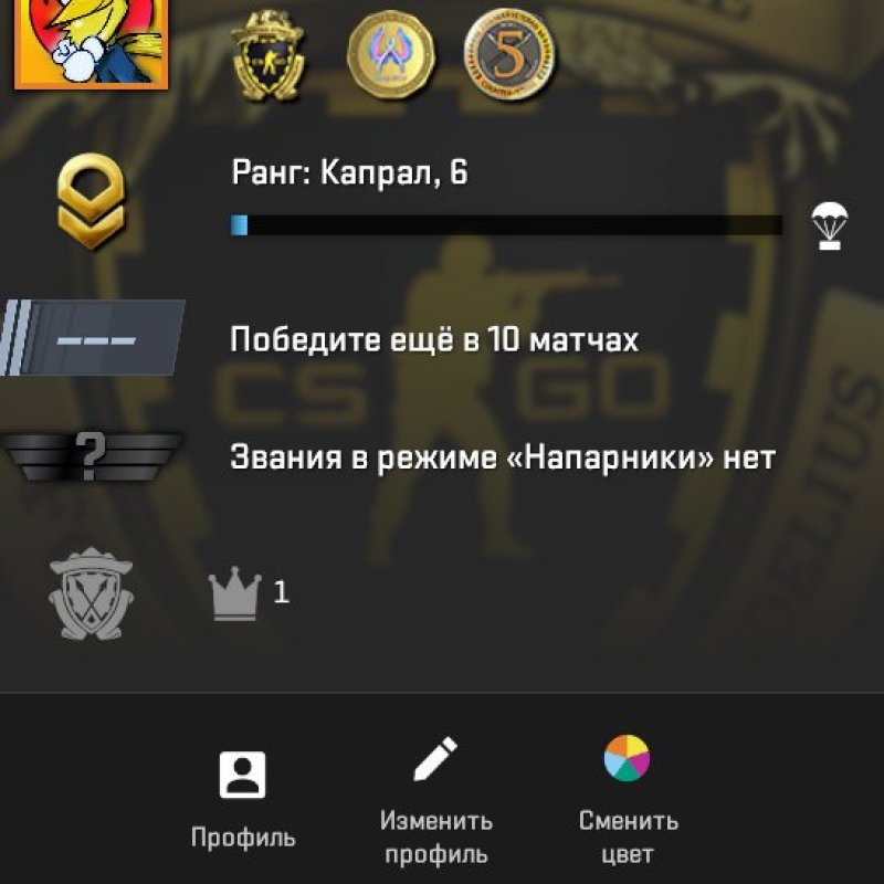 🔥 CS2 Прайм | 🎯 Faceit LVL 6 | 🕒 39 часов — Готов к рейтингам!