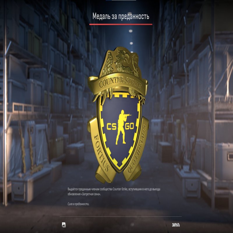 💎 CS2 Prime | 🏅 Медаль за 10 років служби | ⏱ 25 годин — Готовий до змагальної гри!