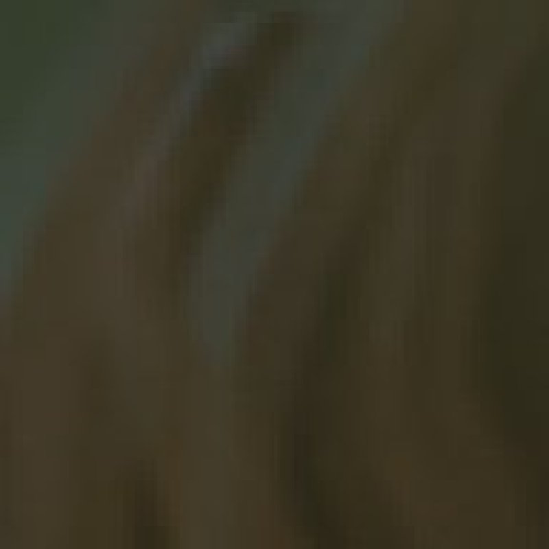 🏅 MMR 800 | 🕒 800 годин | 🛡 8000