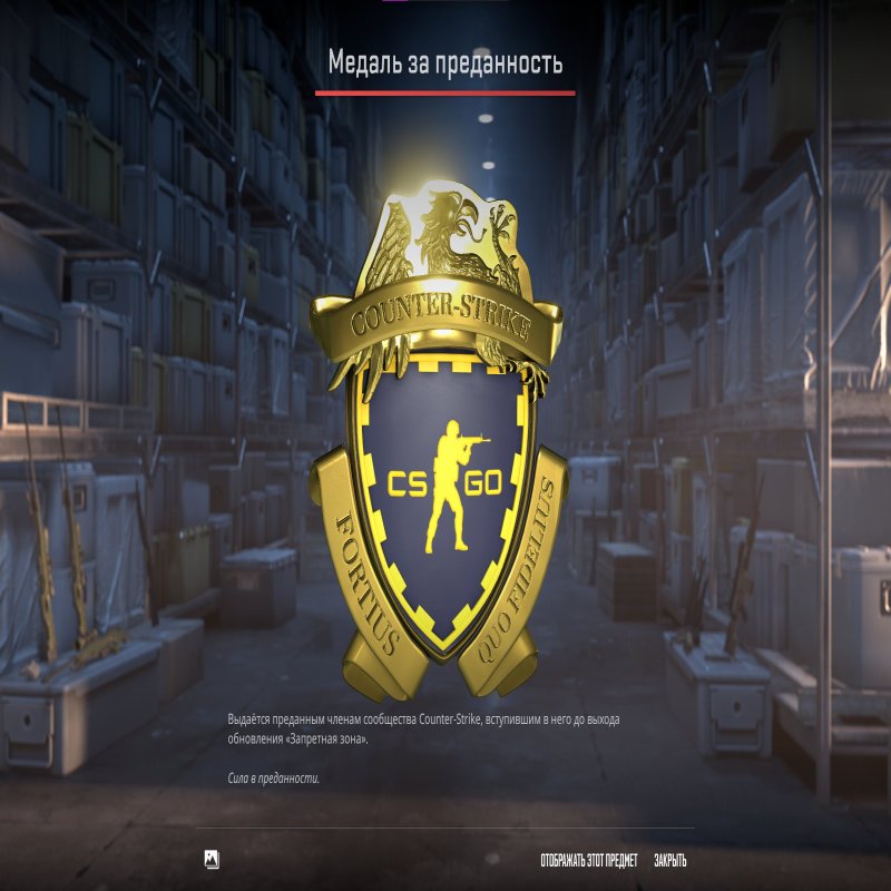 🏆 Rank 9 CS2 | 💎 Profile Level 11 | 🕒 29 hours — Ready for high-level competition!