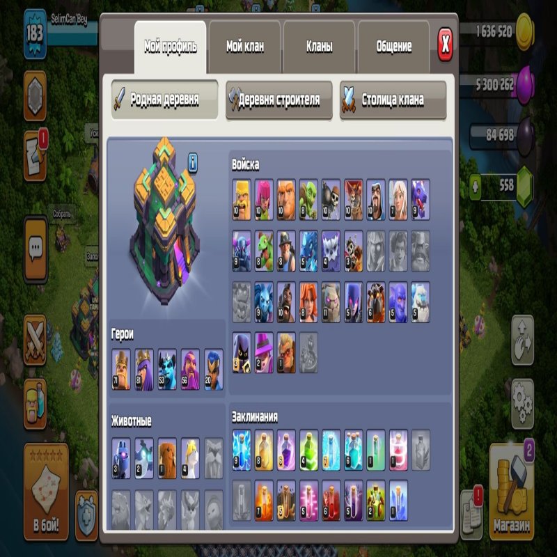 🏰 Clash of Clans account | Town Hall 14 | Level 183