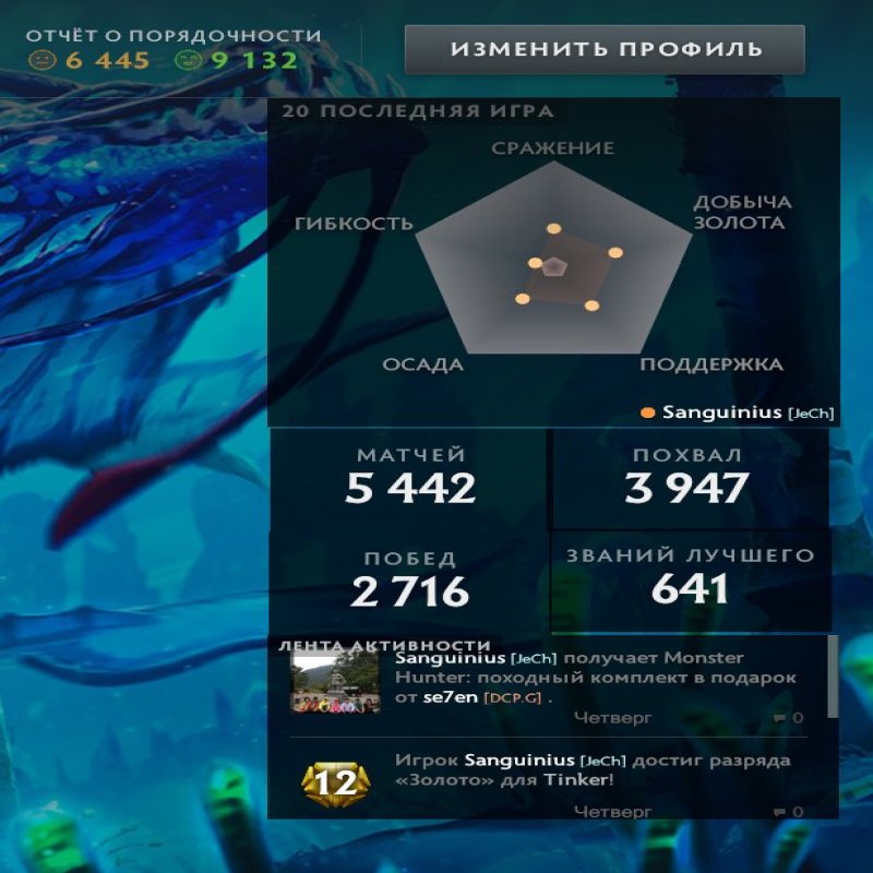 🏅 MMR 4800 | 🕒 6600 hours | 🛡 9200